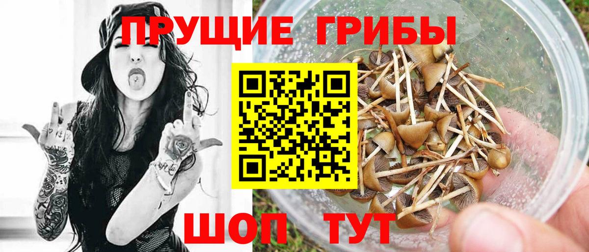 Галлюциногенные грибы GOLDEN TEACHER Барнаул