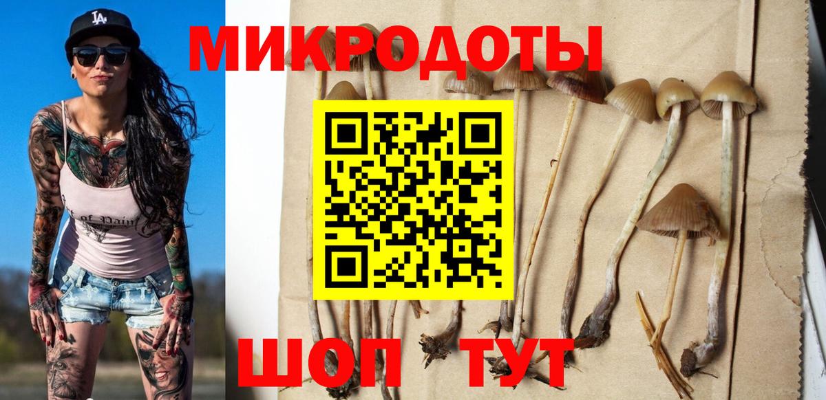 хочу   Галлюциногенные грибы Magic Shrooms  Вход с VPN  Псилоцибиновые грибы Psilocybine cubensis  Барнаул 